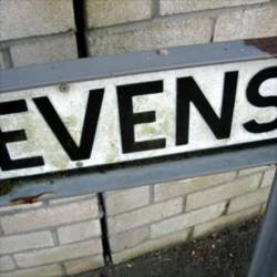 The Evens : 2 Songs